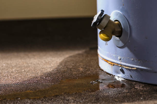 Best Water damage contractors near me  in Snohomish, WA