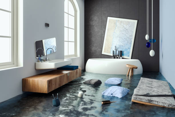 Best 24/7 water damage repair  in Snohomish, WA
