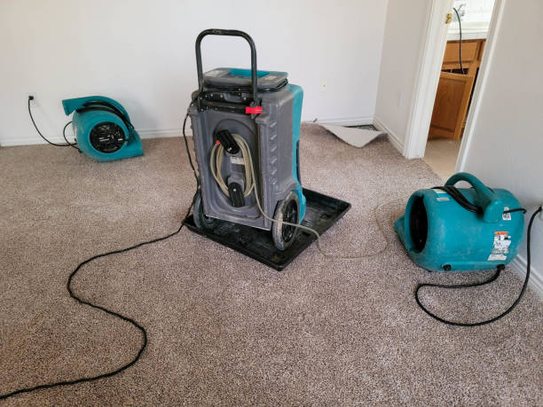 Best 24/7 water damage repair  in Snohomish, WA