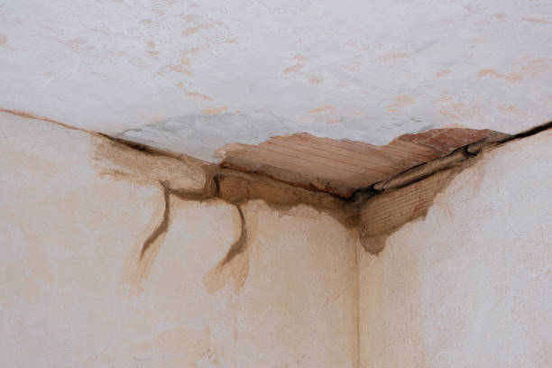 Best Water damage cleanup near me  in Snohomish, WA