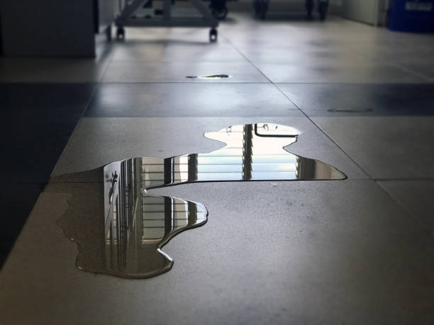 Best 24-hour water damage restoration  in Snohomish, WA