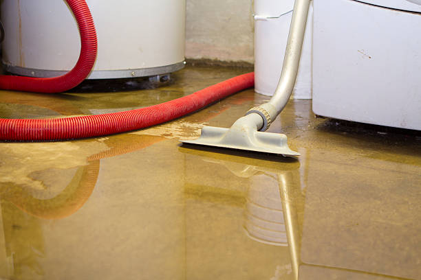 Best Ceiling water damage repair  in Snohomish, WA