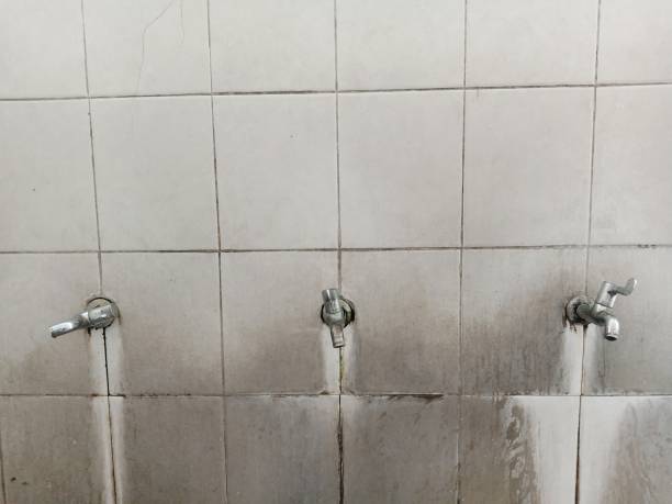 Best Sewage cleanup and water damage restoration  in Snohomish, WA