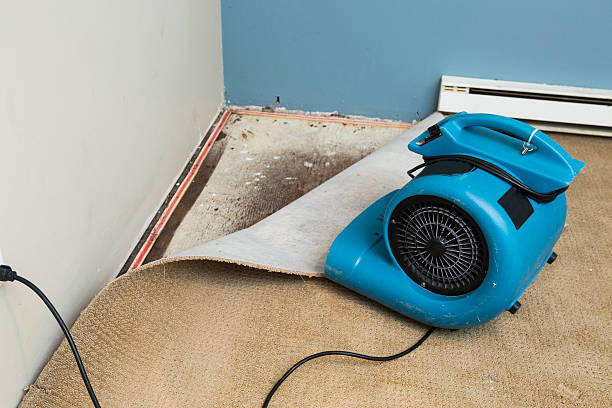Best Water damage restoration near me  in Snohomish, WA